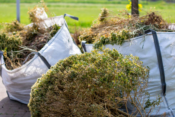 Best Recycling Services for Junk  in Clton, IN